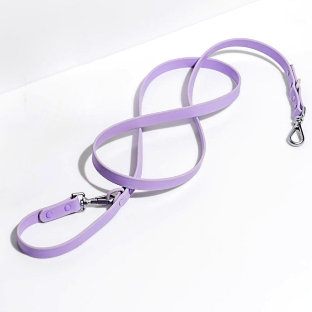 Wild one dog leash small for dogs